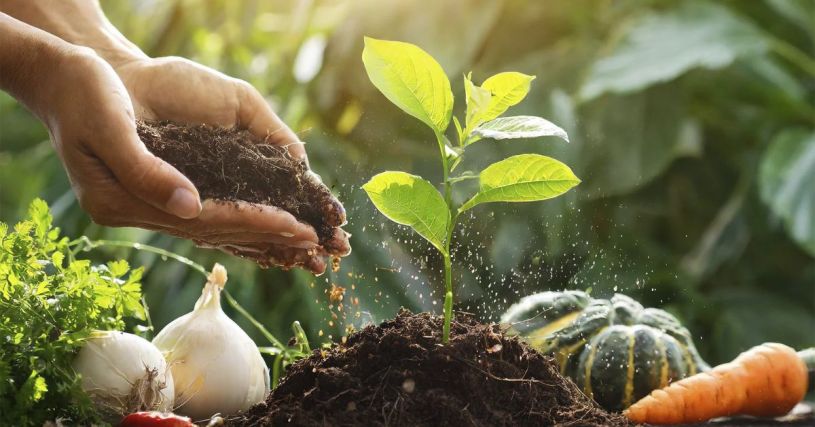 Europe Organic Fertilizer